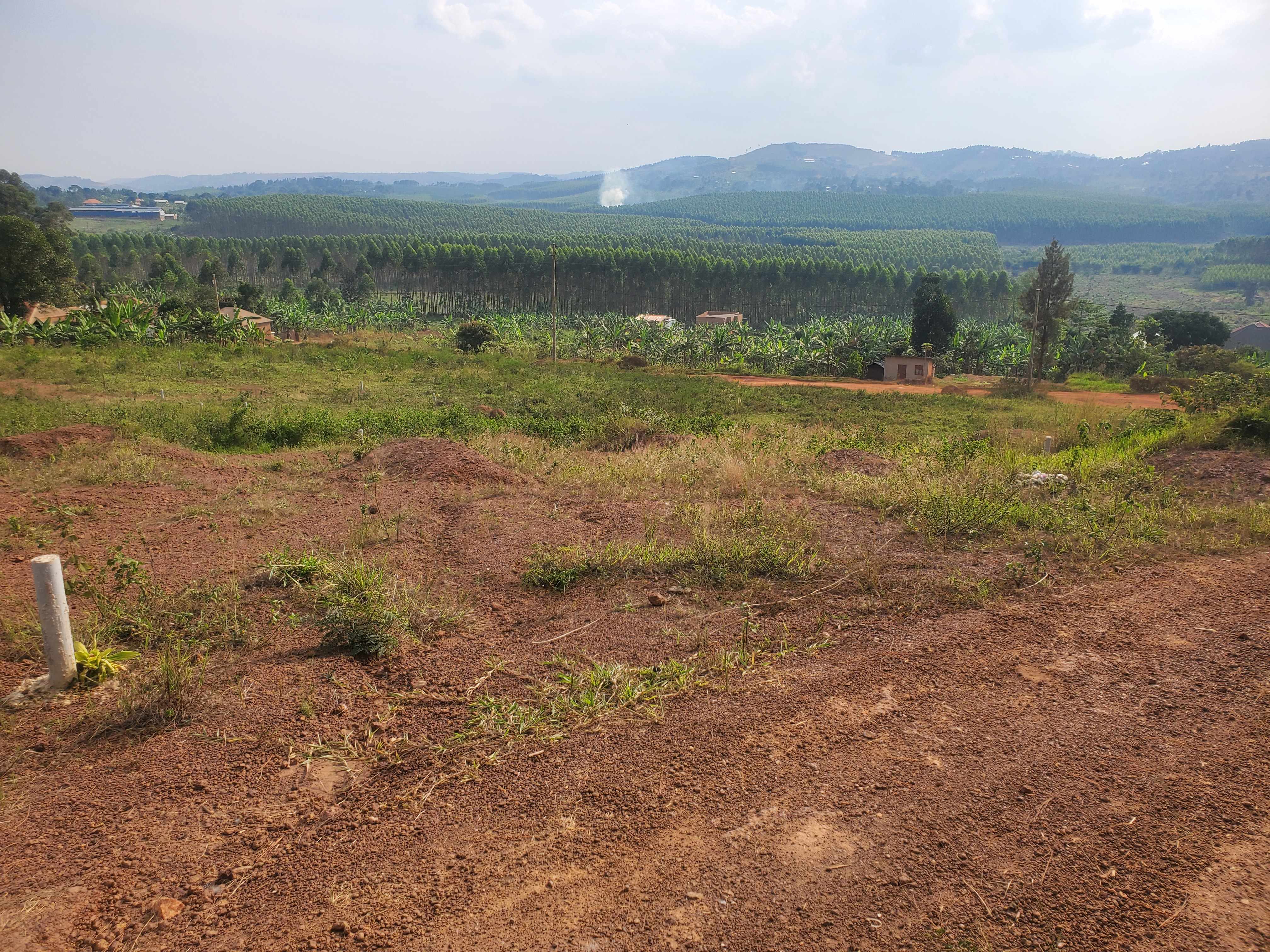 Bujjuko Katende Estate | Reliance Real Estates