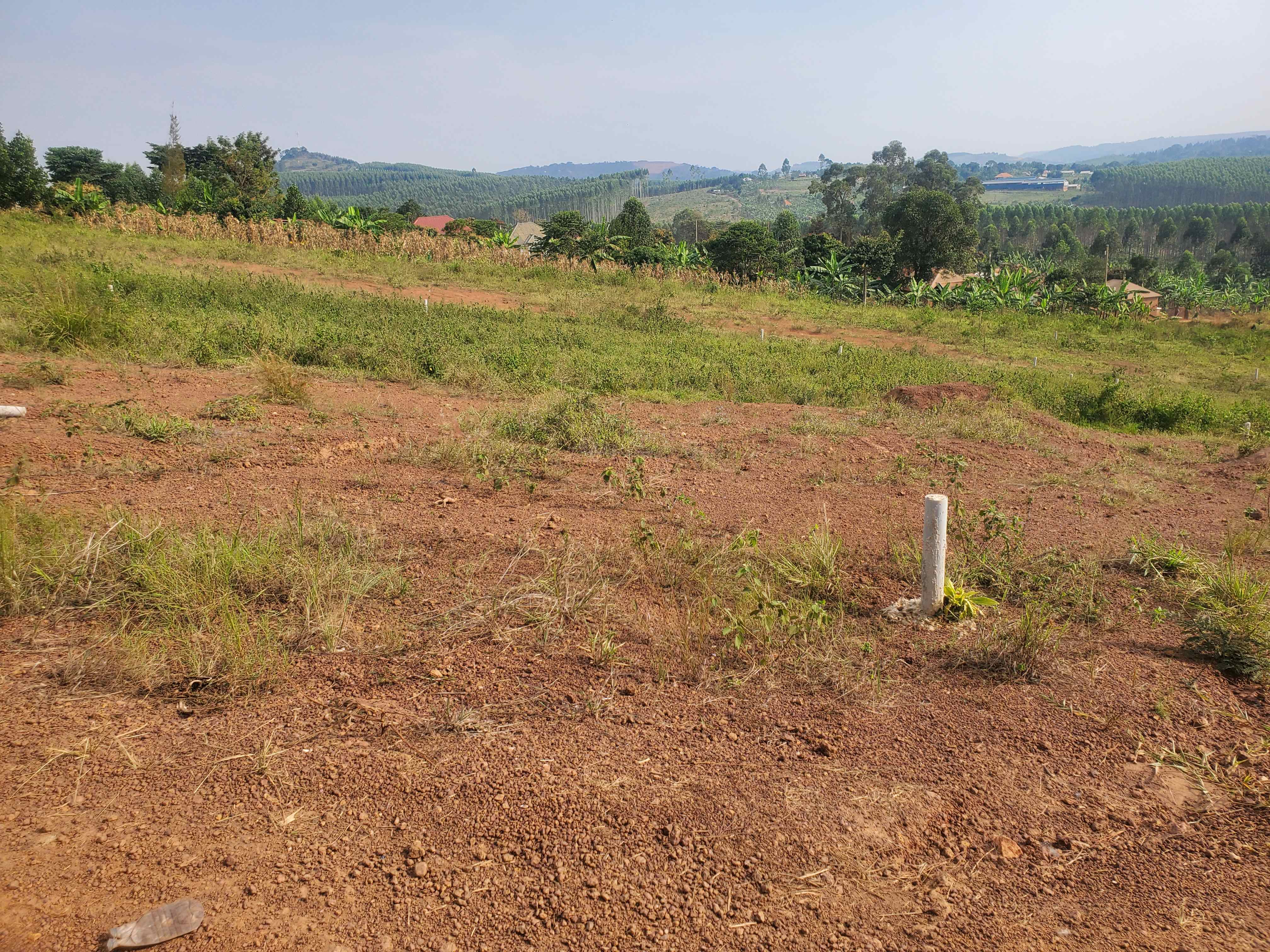 Bujjuko Katende Estate — Affordable Plot for Sale at Reliance Real Estates Ltd