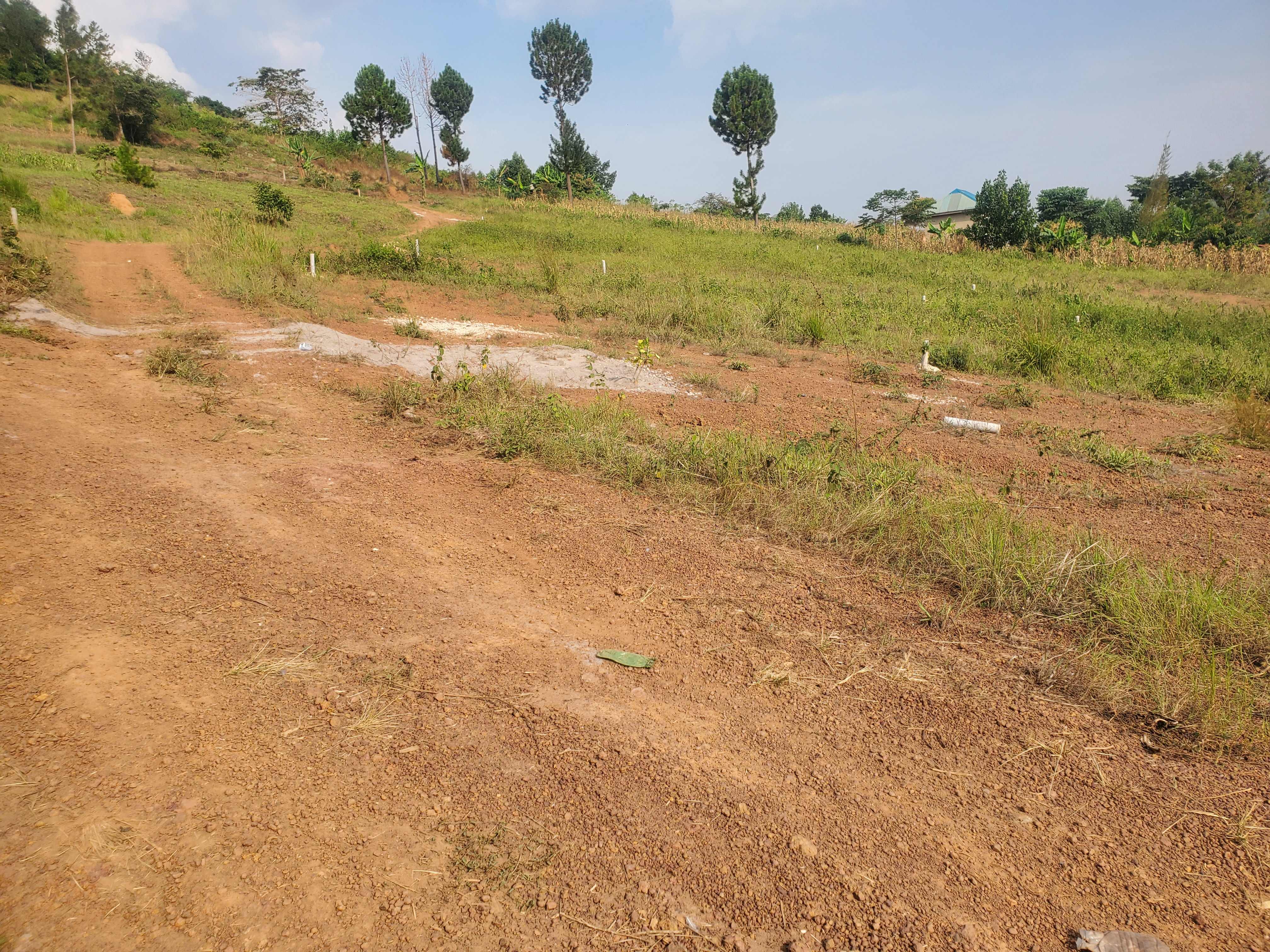 Bujjuko Katende Estate — Affordable Plot for Sale at Reliance Real Estates Ltd