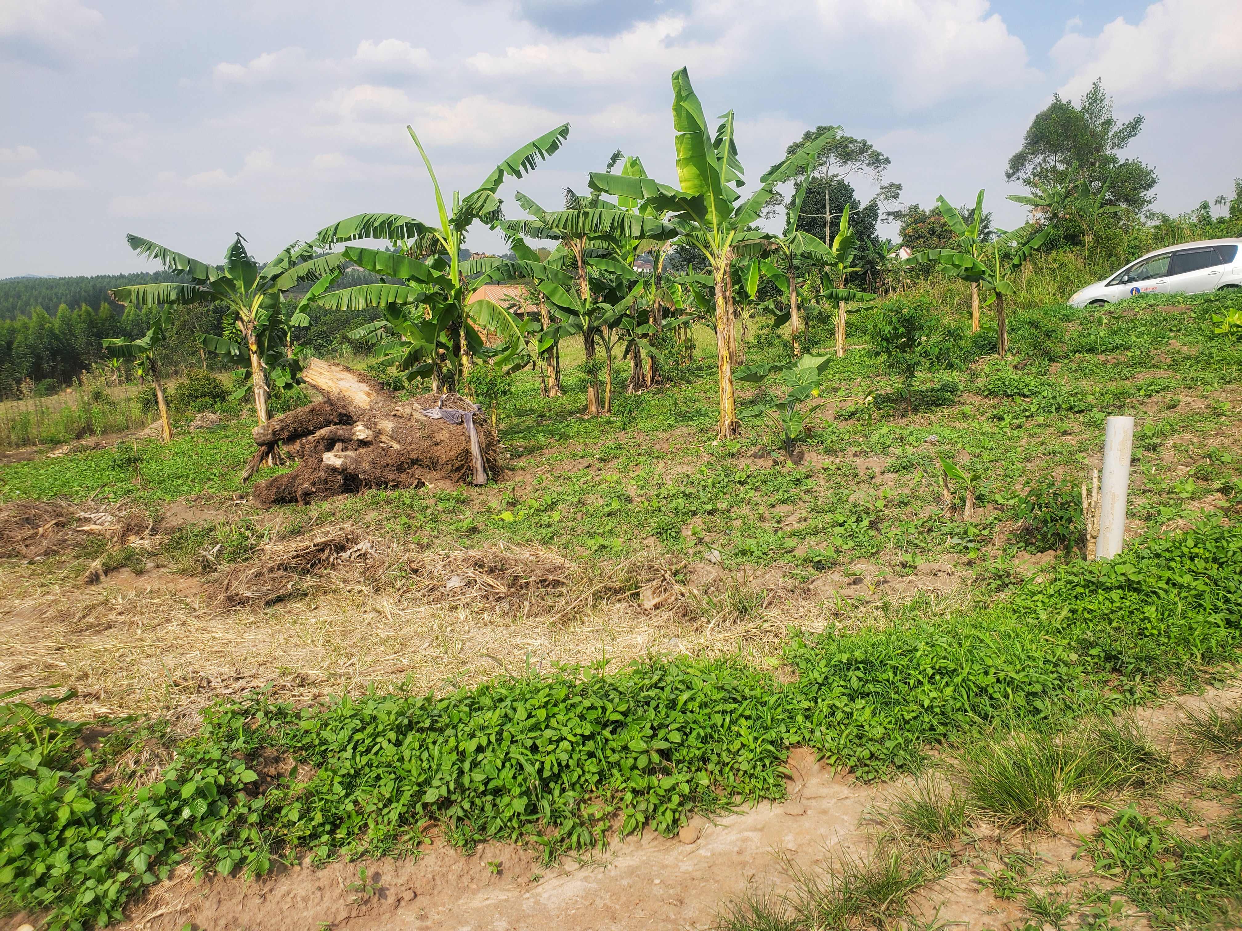 Bujjuko Estate — Affordable Plot for Sale at Reliance Real Estates Ltd